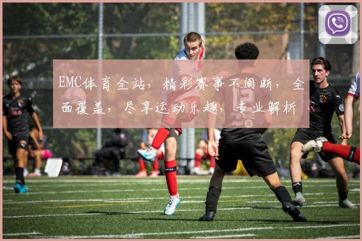 EMC体育全站，精彩赛事不间断，全面覆盖，尽享运动乐趣，专业解析，不容错过