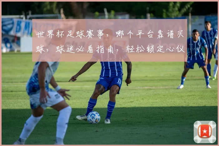 世界杯足球赛事，哪个平台靠谱买球，球迷必看指南，轻松锁定心仪平台，两平台推荐