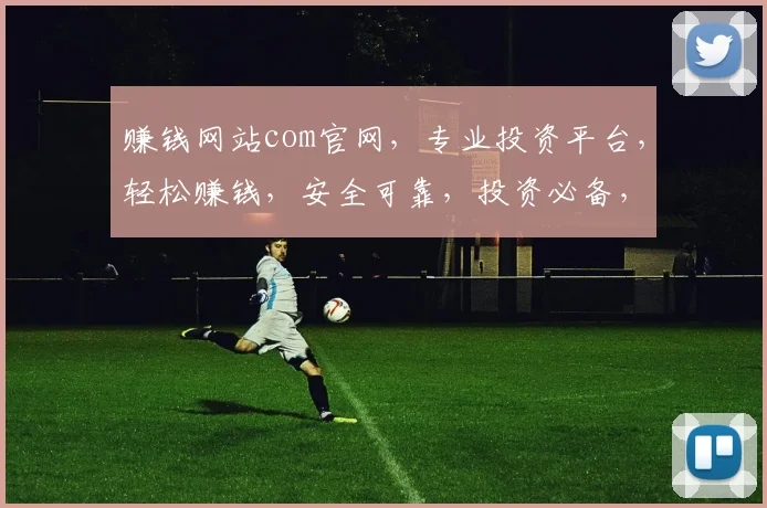 赚钱网站com官网，专业投资平台，轻松赚钱，安全可靠，投资必备，一网打尽